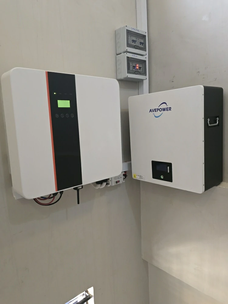 Wall mounted home battery system